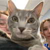 dakotabell05 Altpins Profile Picture