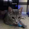 dakotabell05 Altpins Profile Picture