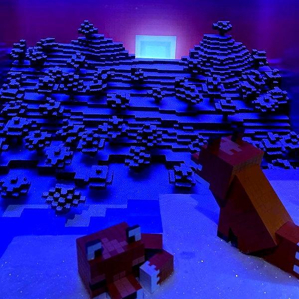 dakotabell05 instagram image archive image