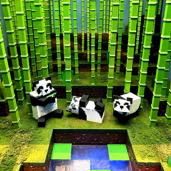 dakotabell05 instagram image archive image