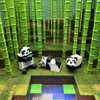 dakotabell05 Altpins Profile Picture