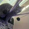 dakotabell05 Altpins Profile Picture
