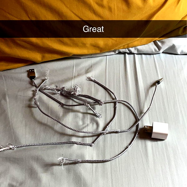 dakotabell05 instagram image archive image