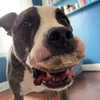 dakotabell05 Altpins Profile Picture
