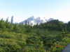 dakotabell05 Altpins Profile Picture