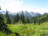 dakotabell05 Altpins Profile Picture