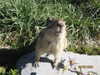 dakotabell05 Altpins Profile Picture