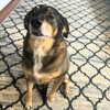 dakotabell05 Altpins Profile Picture