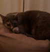dakotabell05 Altpins Profile Picture