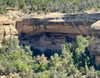 dakotabell05 Altpins Profile Picture
