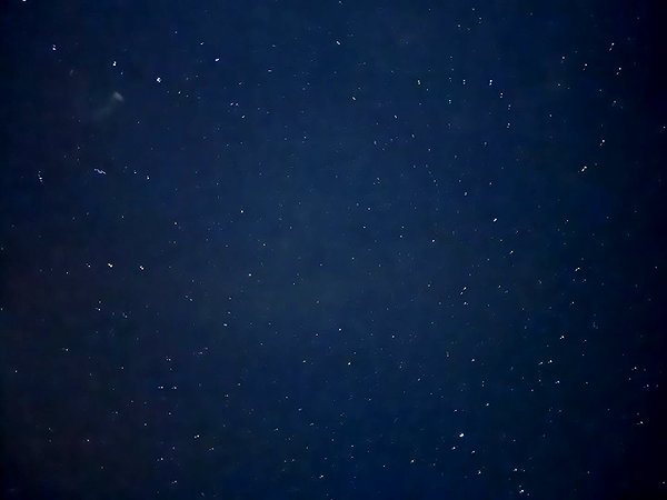 dakotabell05 instagram image archive image