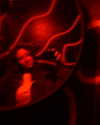 dakotabell05 Altpins Profile Picture