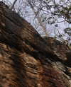dakotabell05 Altpins Profile Picture