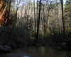 dakotabell05 Altpins Profile Picture