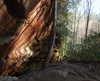 dakotabell05 Altpins Profile Picture
