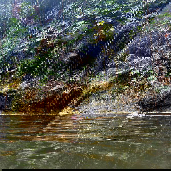 dakotabell05 dakotabell05 archive image