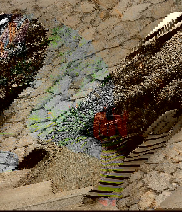 dakotabell05 dakotabell05 archive image