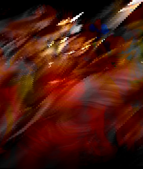 dakotabell05 dakotabell05 archive image