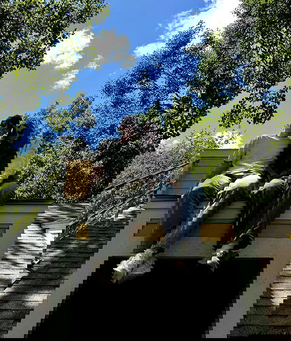 dakotabell05 dakotabell05 archive image