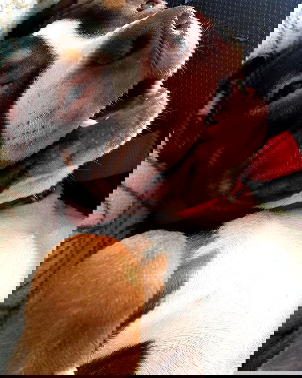 danaekontodiou danaekontodiou archive image