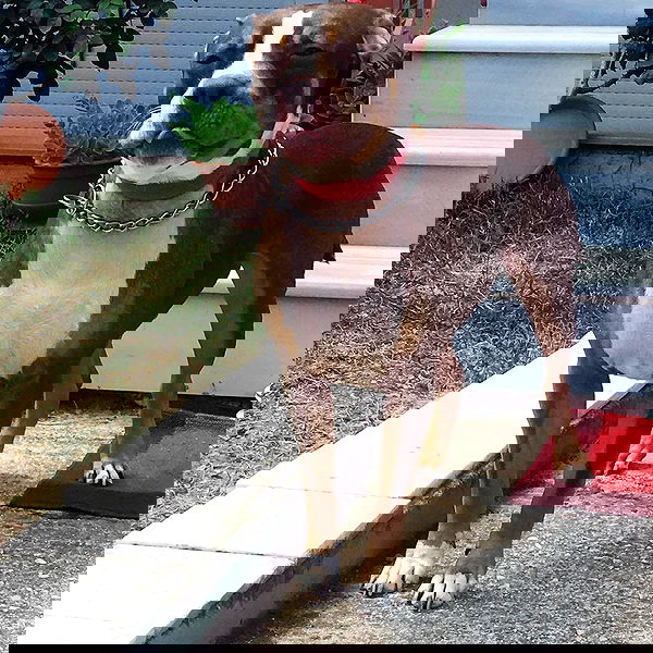 danaekontodiou danaekontodiou archive image