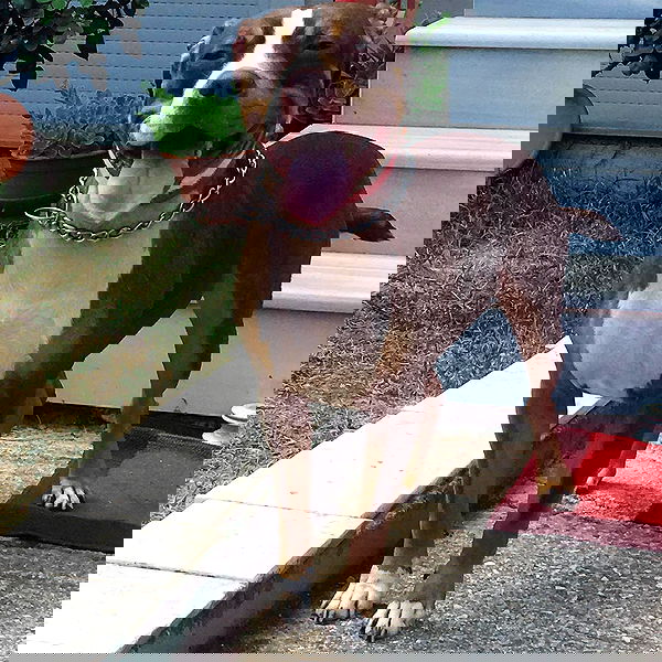 danaekontodiou danaekontodiou archive image