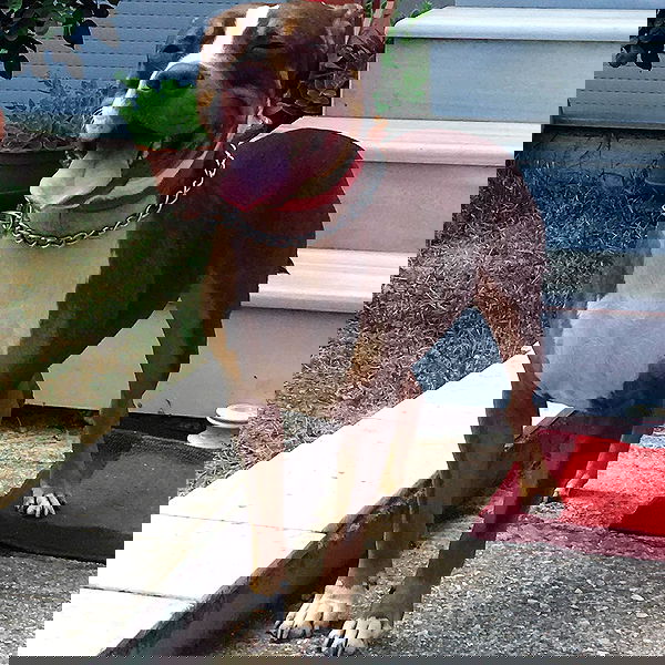 danaekontodiou danaekontodiou archive image