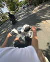 danchiii6403__ Altpins Profile Picture