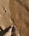 danchiii6403__ Altpins Profile Picture