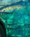 danchiii6403__ Altpins Profile Picture