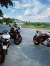 danchiii6403__ Altpins Profile Picture