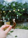 danchiii6403__ Altpins Profile Picture