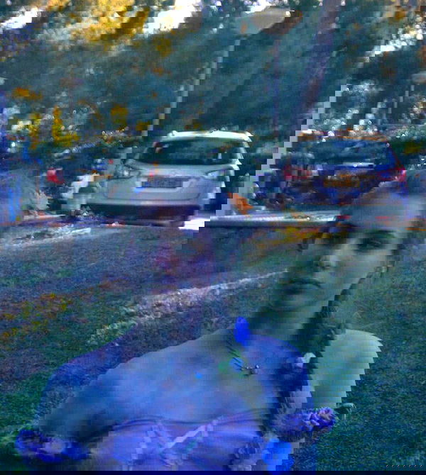 daniella_koosit daniella_koosit archive image