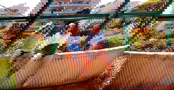 daniella_koosit daniella_koosit archive image