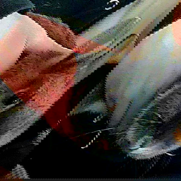 daniella_koosit daniella_koosit archive image