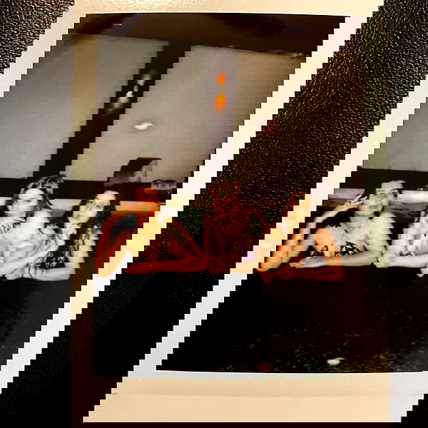 daniella_koosit daniella_koosit archive image