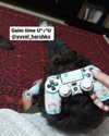 daniella_koosit Altpins Profile Picture