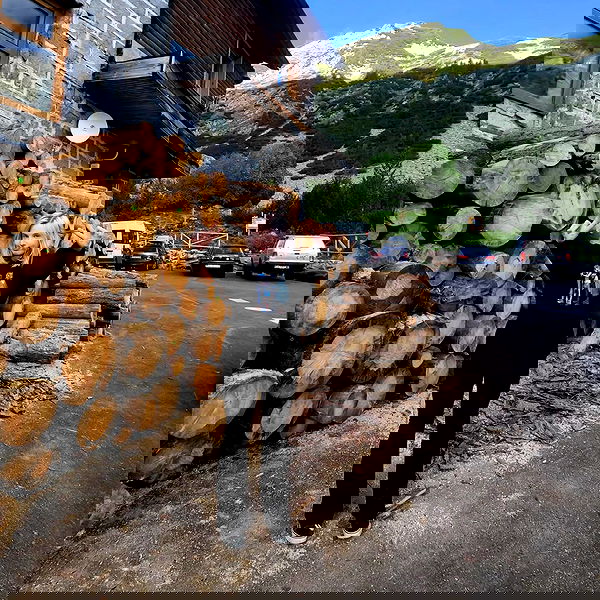 daniella_koosit daniella_koosit archive image