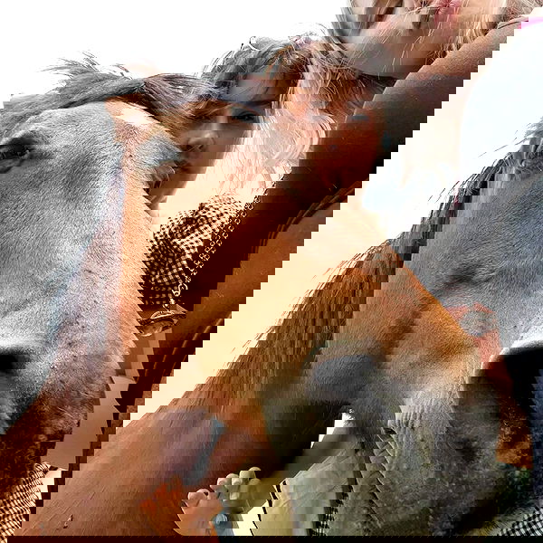 daniella_koosit daniella_koosit archive image