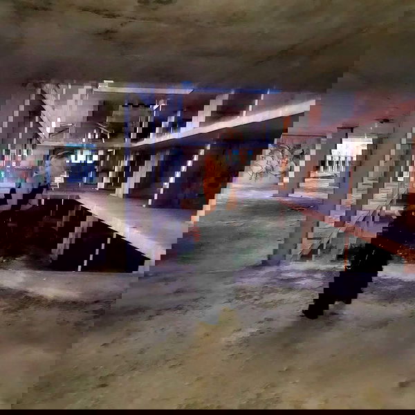 daniella_koosit daniella_koosit archive image