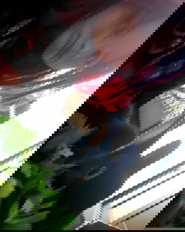 daniella_koosit daniella_koosit archive image