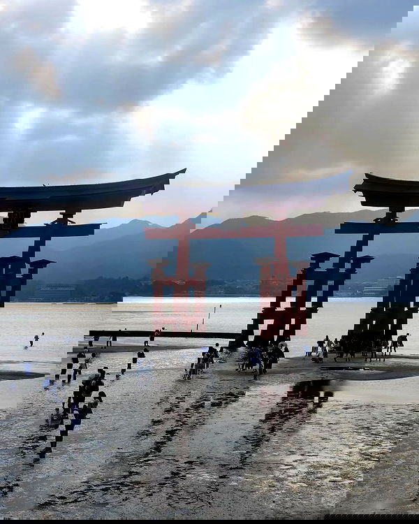 daniella_koosit daniella_koosit archive image