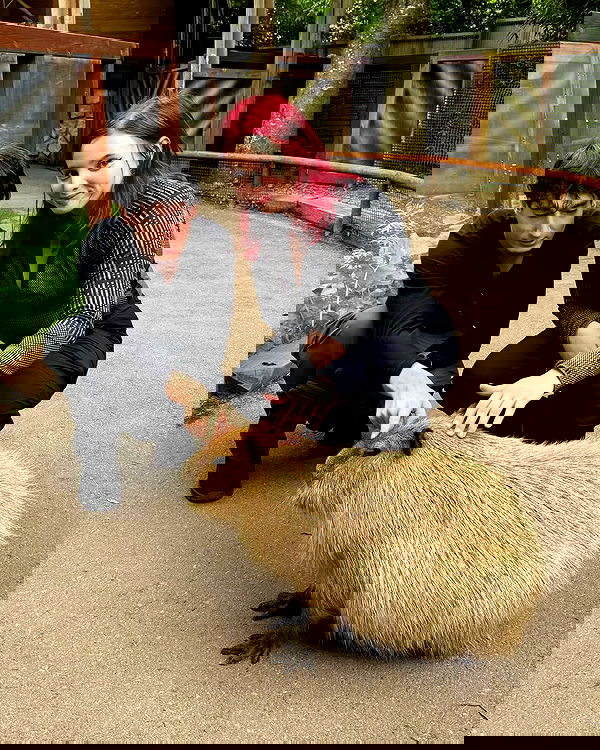 daniella_koosit daniella_koosit archive image