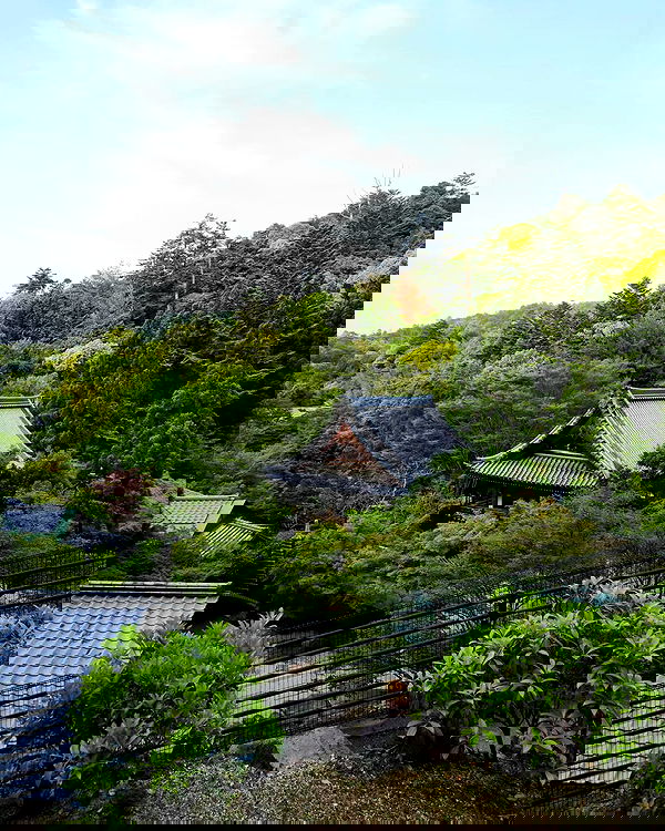 daniella_koosit daniella_koosit archive image