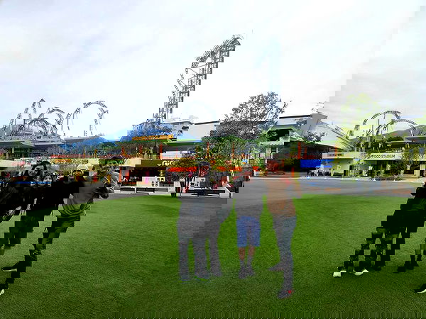 daniella_koosit daniella_koosit archive image