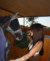 danielroten_ Altpins Profile Picture