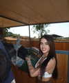 danielroten_ Altpins Profile Picture