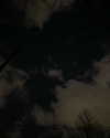 darkiexgirl Altpins Profile Picture