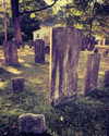 deadlovecemetery Altpins Profile Picture
