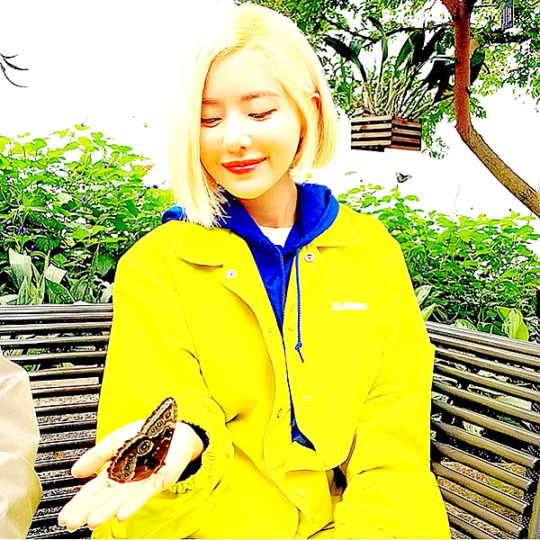 deejaysoda instagram image archive image